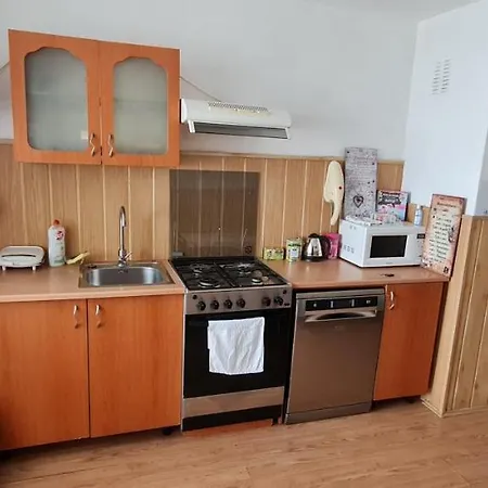 Apartment Casa Lazar *