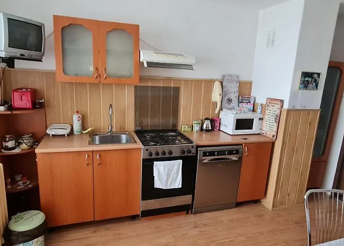 Apartment Casa Lazar *